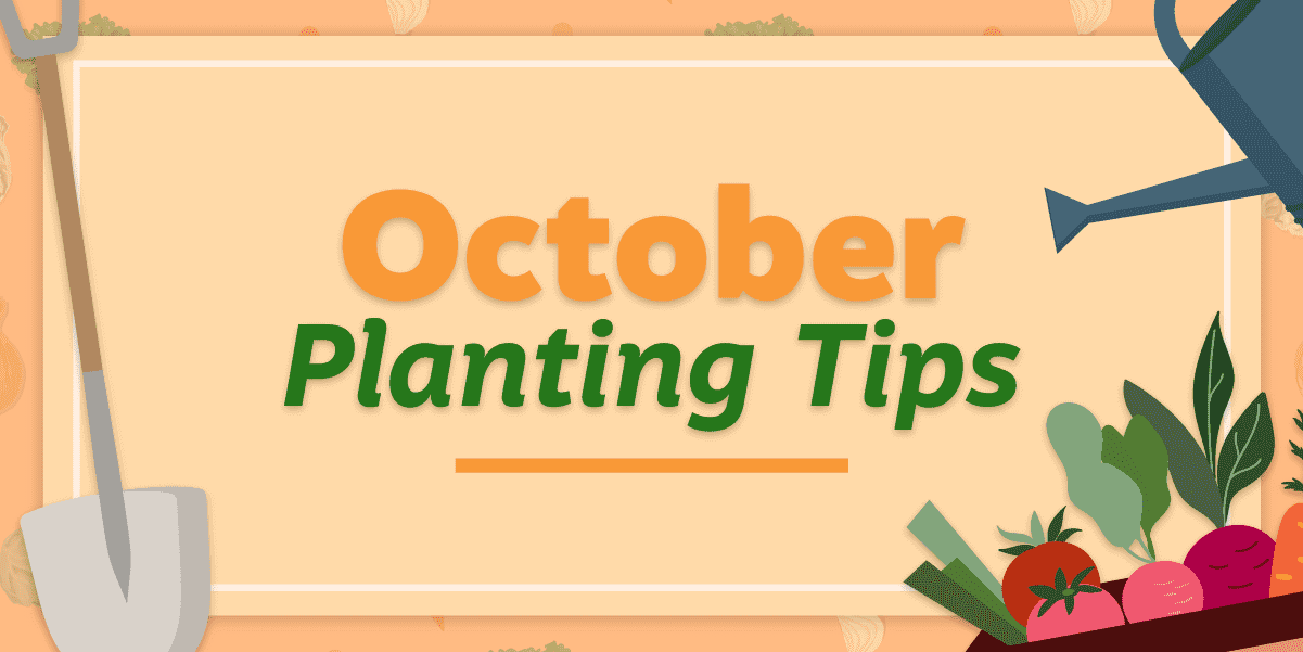 Graphic that says "October Planting Tips"