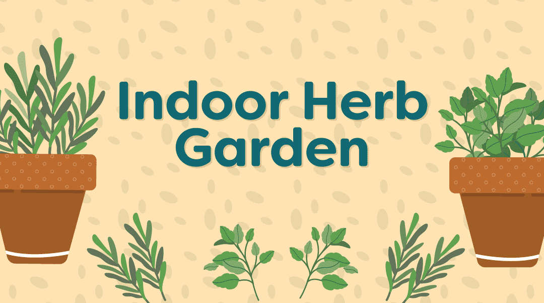 Growing Herbs Indoors: A Beginner’s Guide