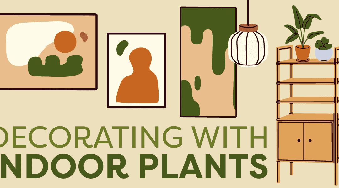 A Guide to Decorating with Indoor Plants