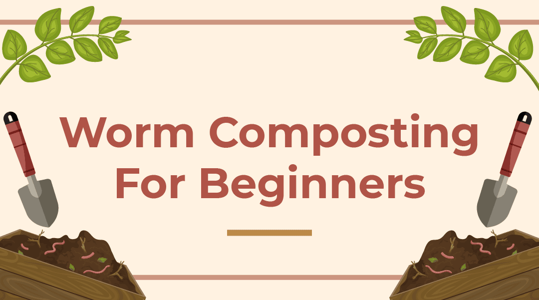 Worm Composting for Beginners