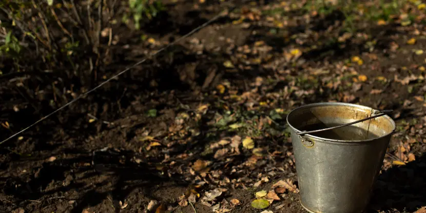A bucket of compost tea
