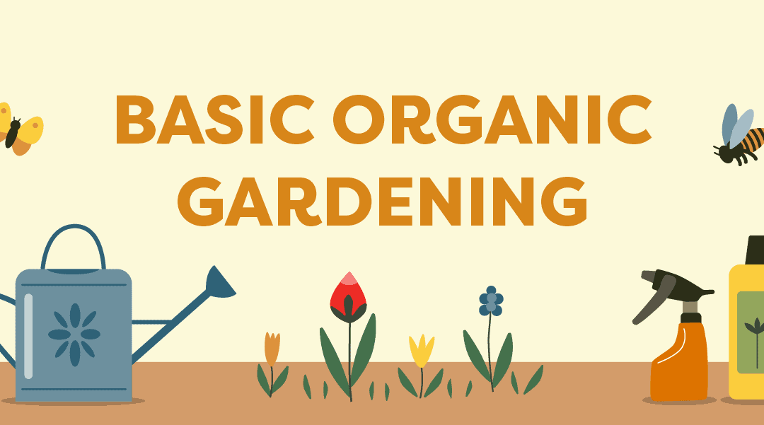 Basic Organic Gardening: Easier Than You Think