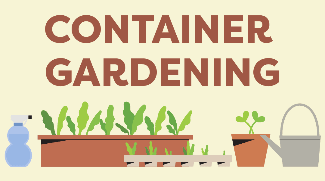 Container Gardening for Beginners