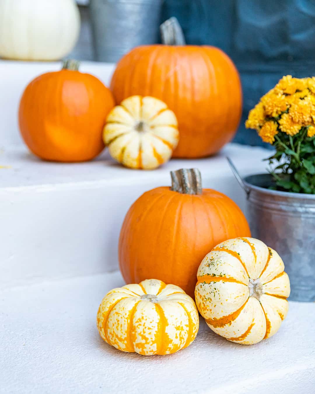 Angled Pumpkins