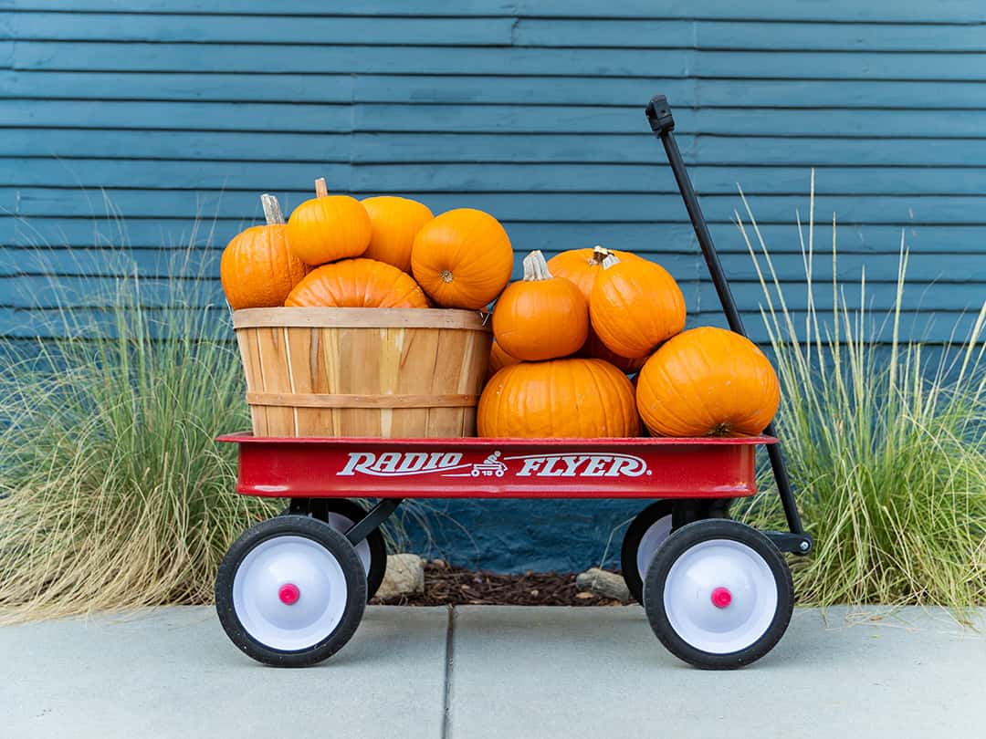 Pumpkins wagon