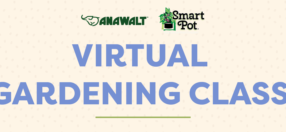 RSVP For The Smart Pot Virtual Gardening Class