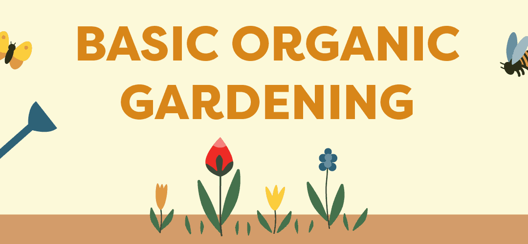 Basic Organic Gardening