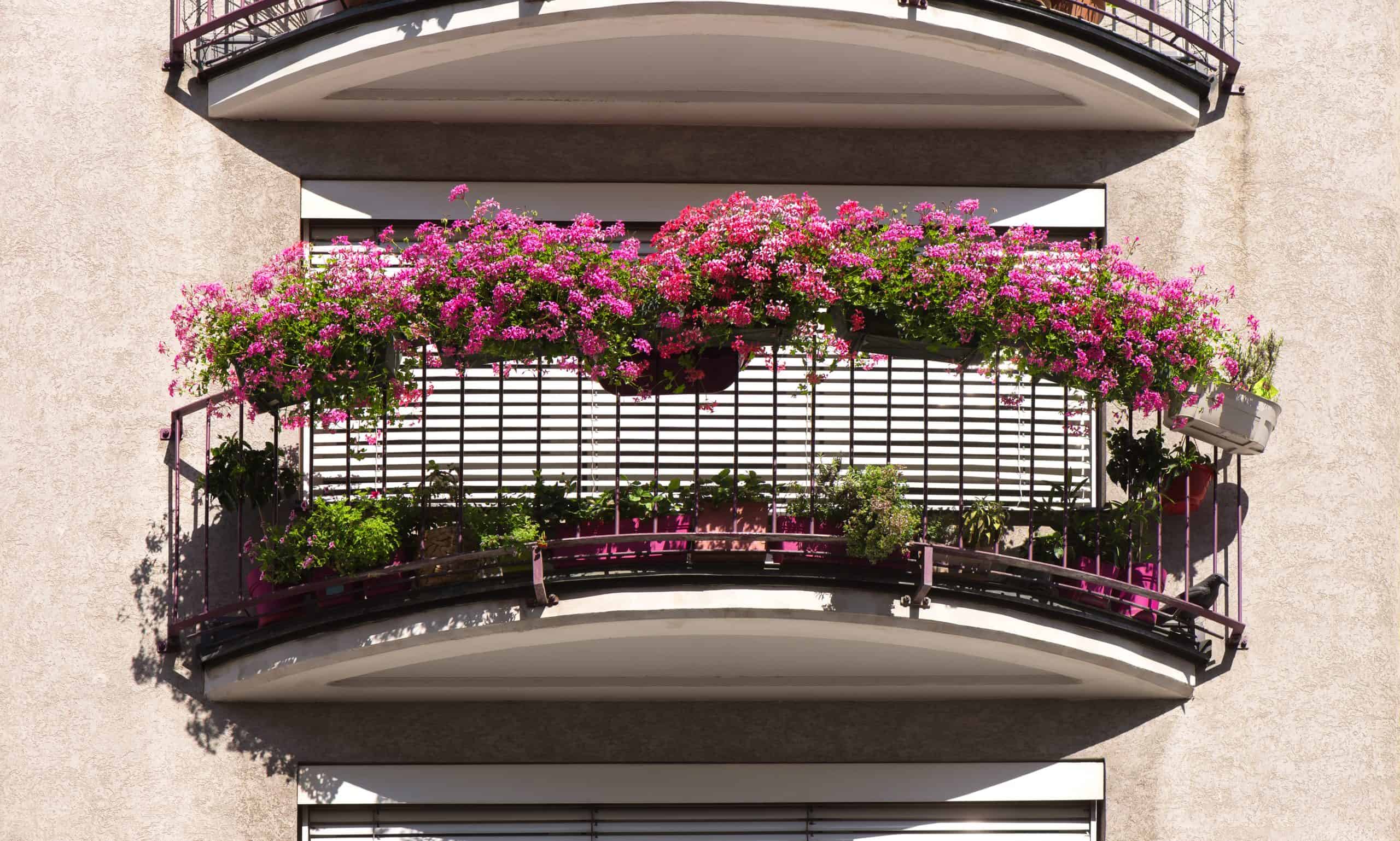 Balcony with flowers