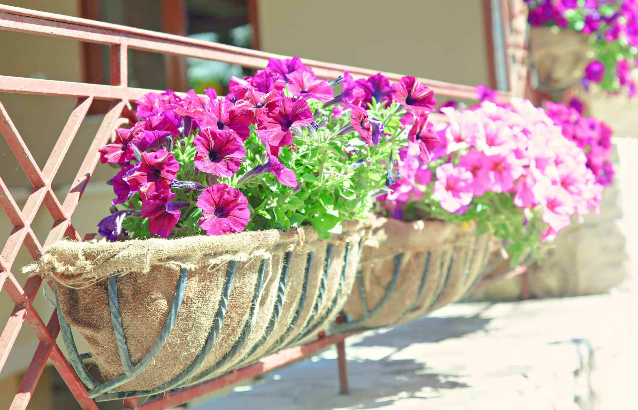 Balcony flower box