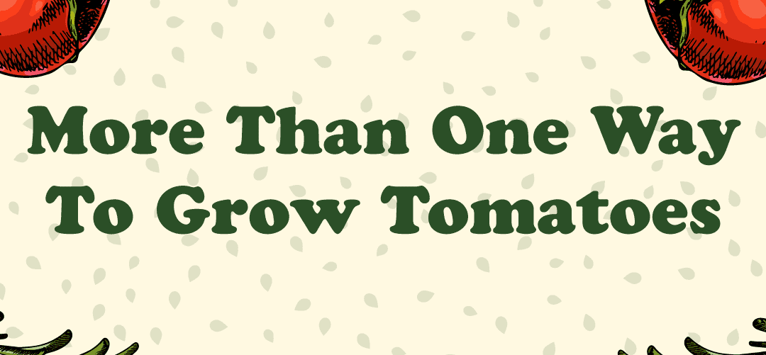 How to Grow Tomatoes Like a Garden Ninja