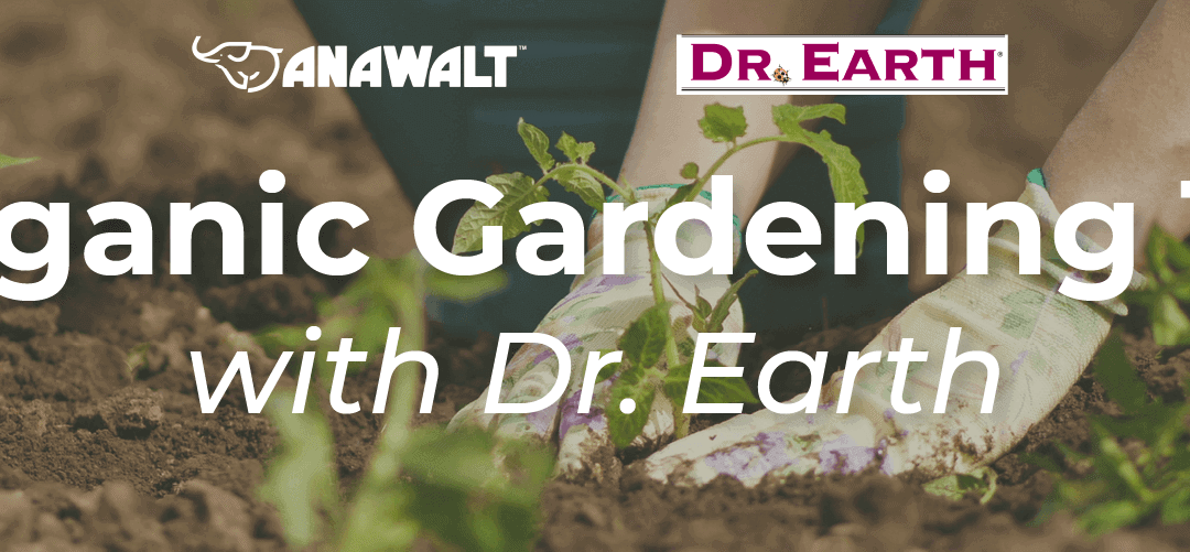 Organic Gardening 101 with Dr. Earth
