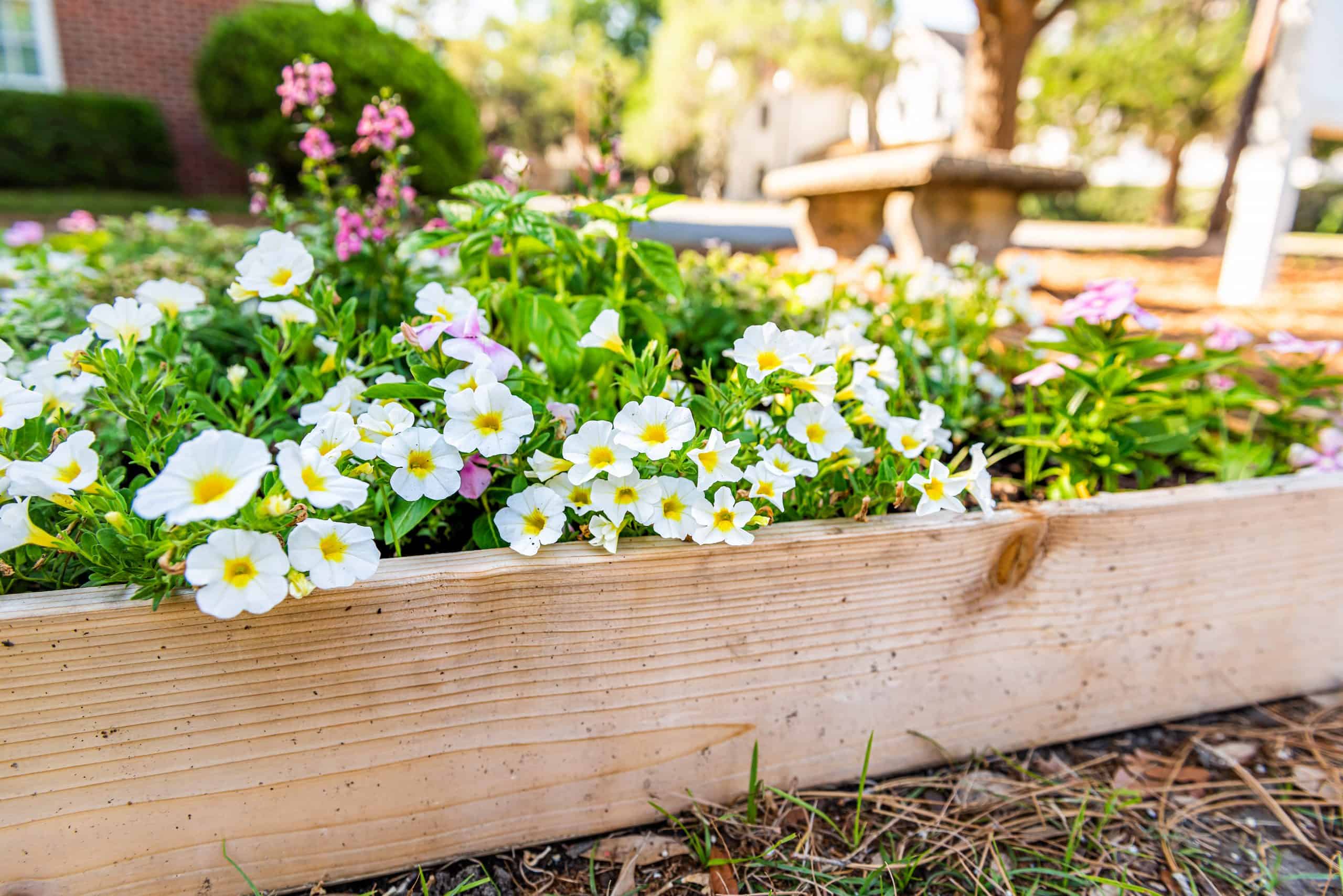 Planter-box