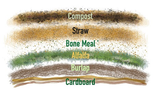 Illustration of soil layering for a raised garden bed