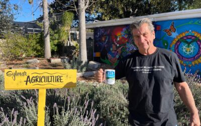 How to Grow Tomatoes w/ Steve List