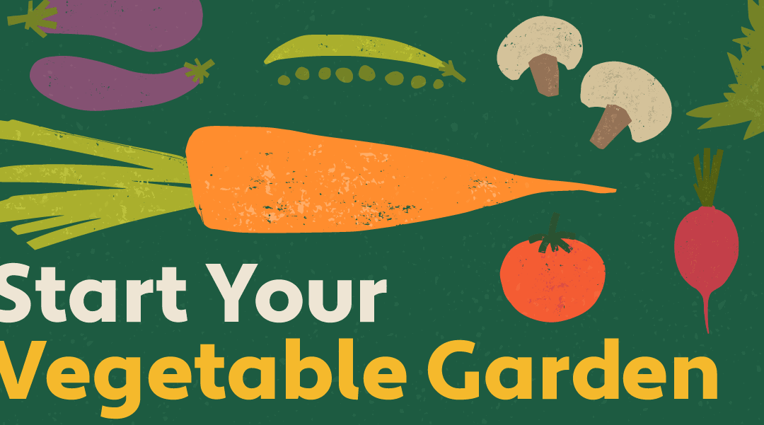 How to Start a Vegetable Garden to Grow Your Own Food