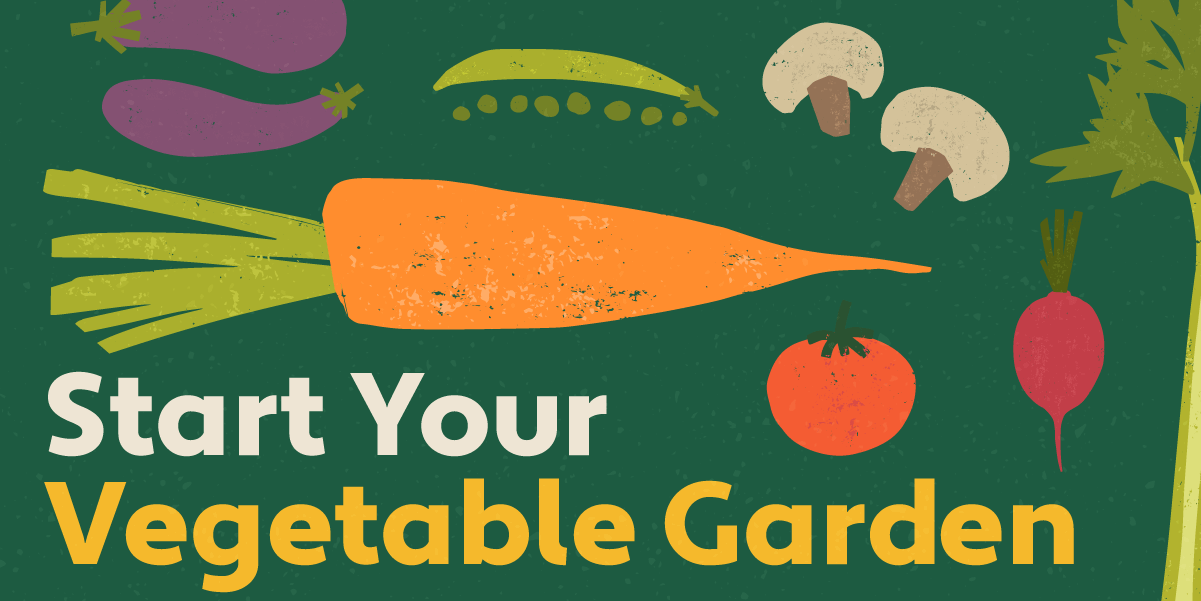 Start Your Vegetable Garden graphic