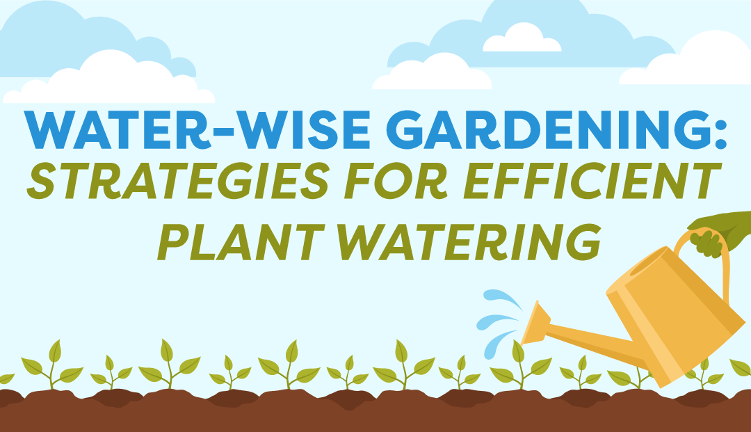 Water-Wise Gardening: Drip Irrigation Strategies for Efficient Watering