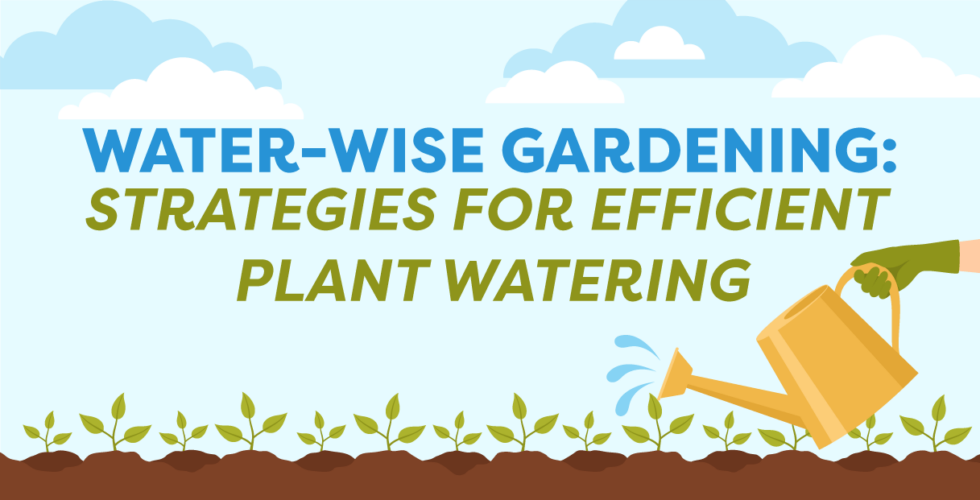 How to Install a Drip Irrigation System for Efficient Watering ... - Water Efficient Sprinkler System Installation