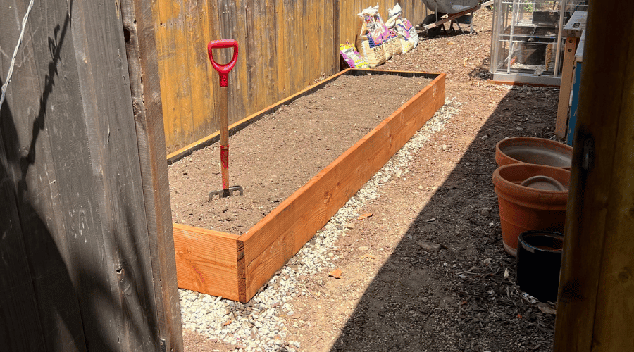 Raised garden bed location with lots of sun