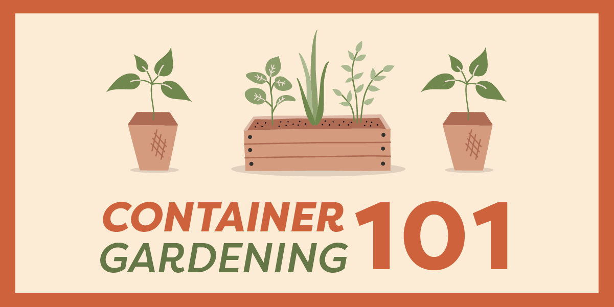 Container Gardening 101 graphic