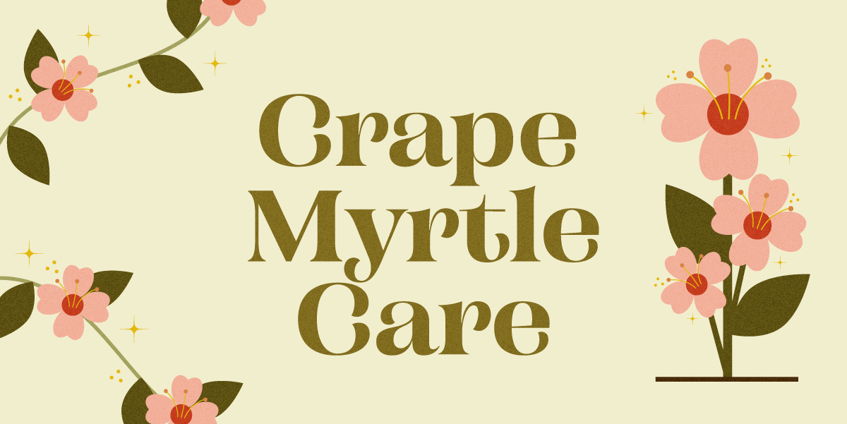 Grape myrtle care logo.