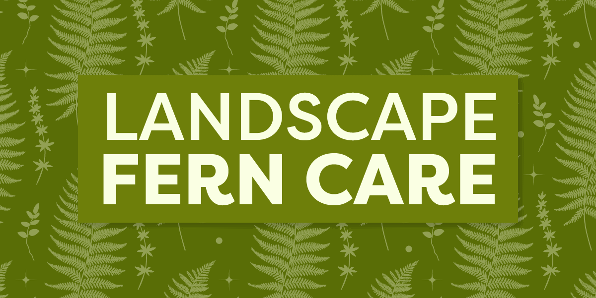 Landscape fern care logo.