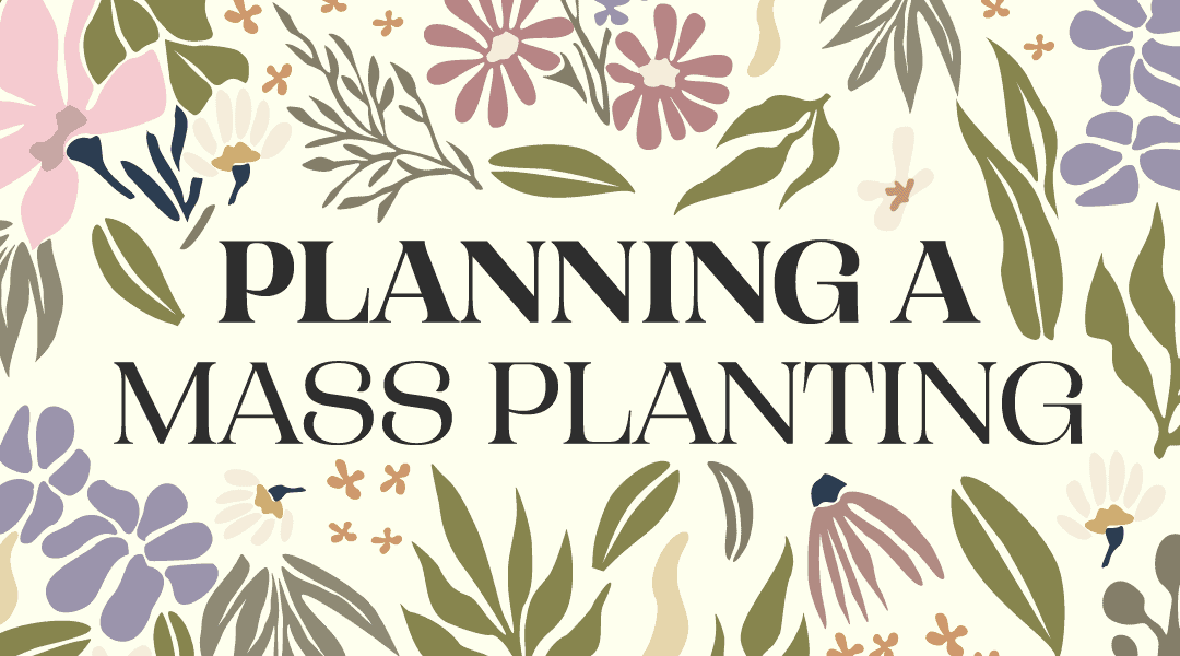 Elevate Your Garden Design: The Power of Mass Planting