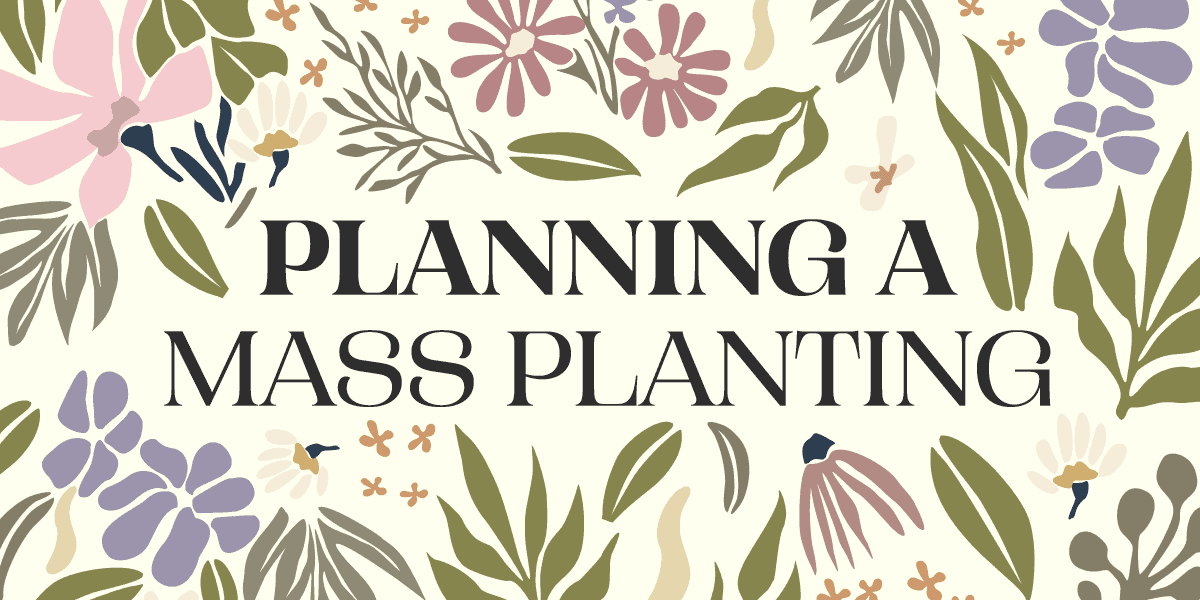 Planning a mass planting.