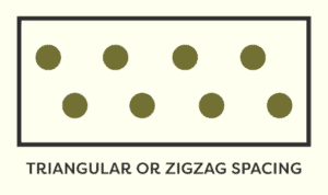 Triangular or zigzag spacing.