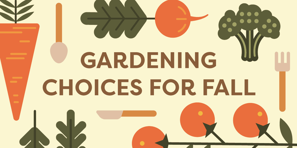 Gardening choices for fall.