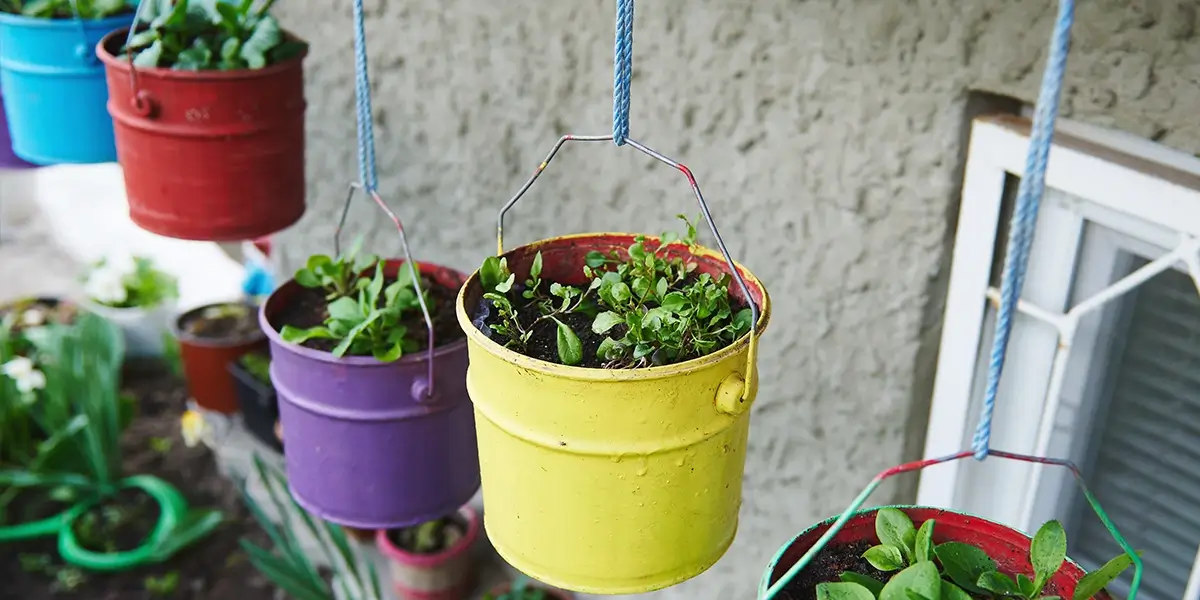 A hanging container garden