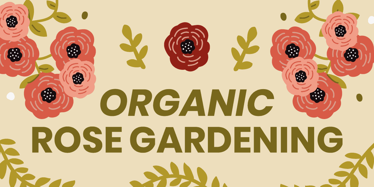 Organic rose gardening logo.