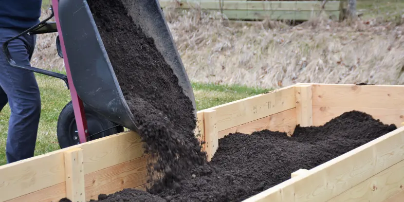 Adding soil to a raised garden