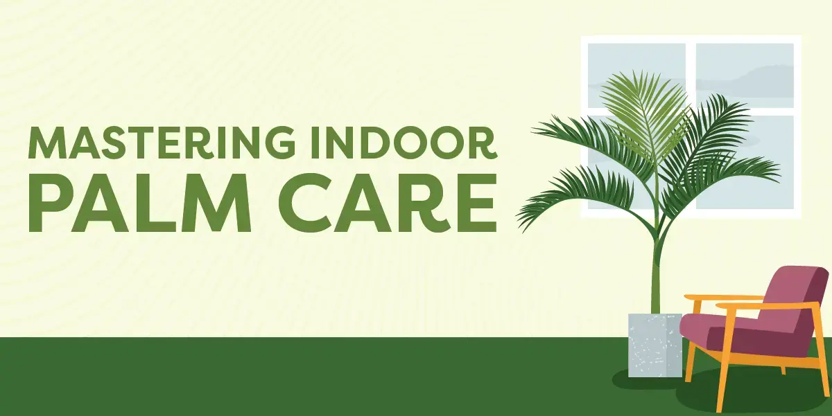 Mastering Indoor Palm Tree Care