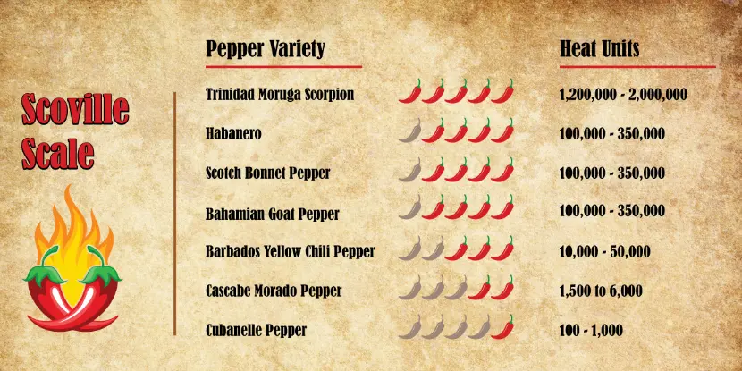 The Scoville Scale for chiles