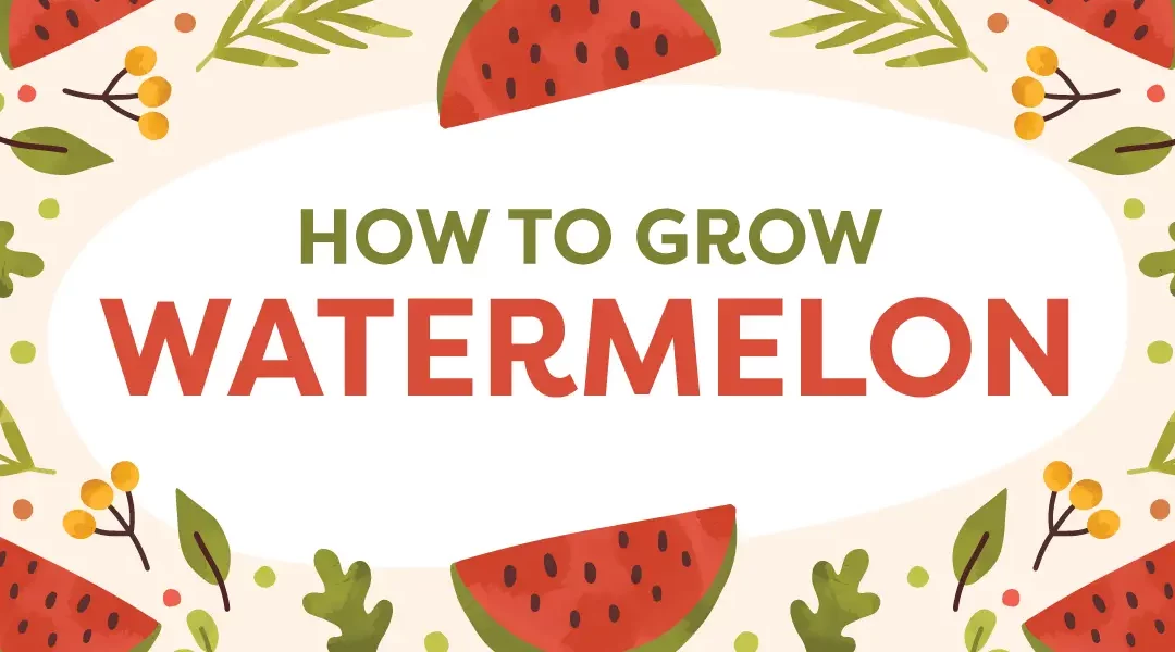 From Seed to Slice: How to Grow Watermelons in Southern California