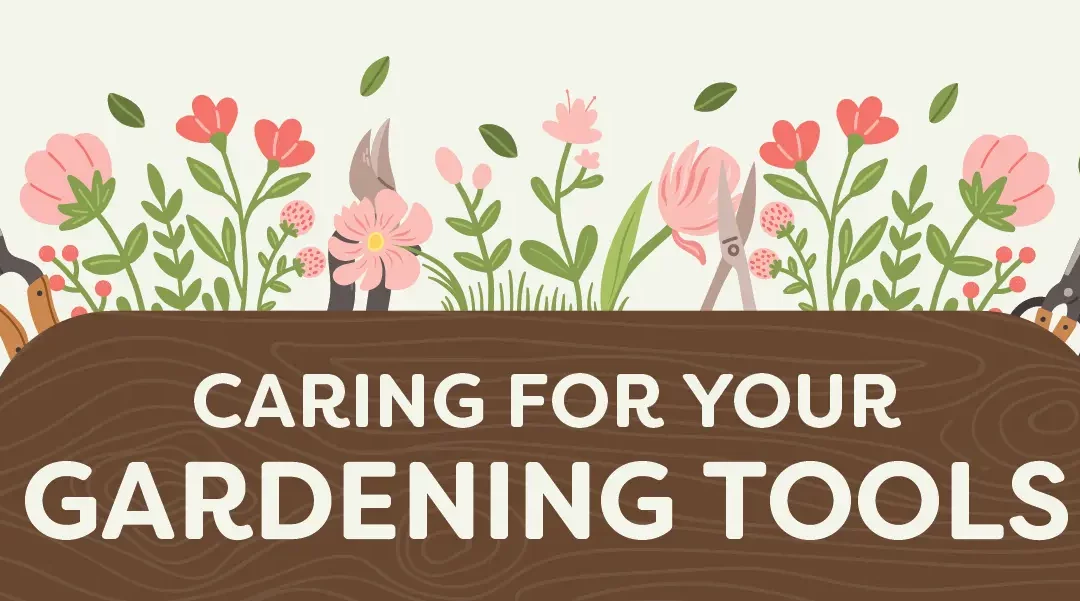 Caring for Garden Tools: Maintenance Tips for Longevity