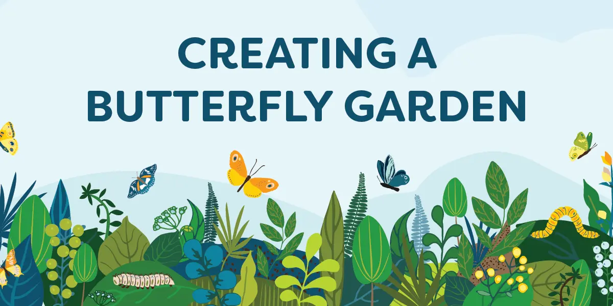 Creating a Butterfly Garden