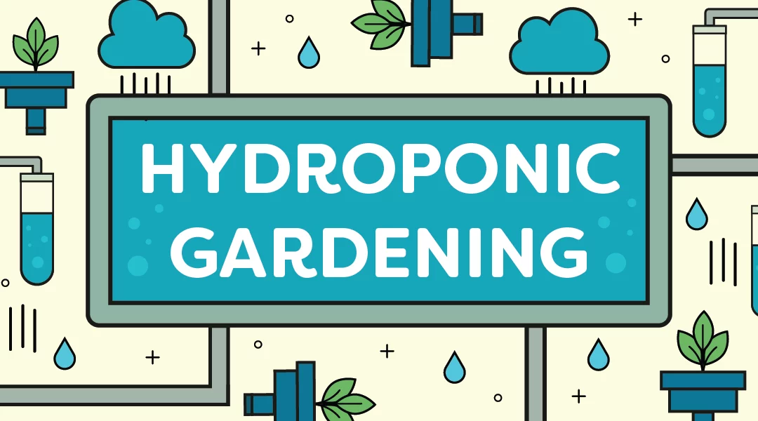 Introduction to Hydroponic Gardening: A Beginner’s Guide