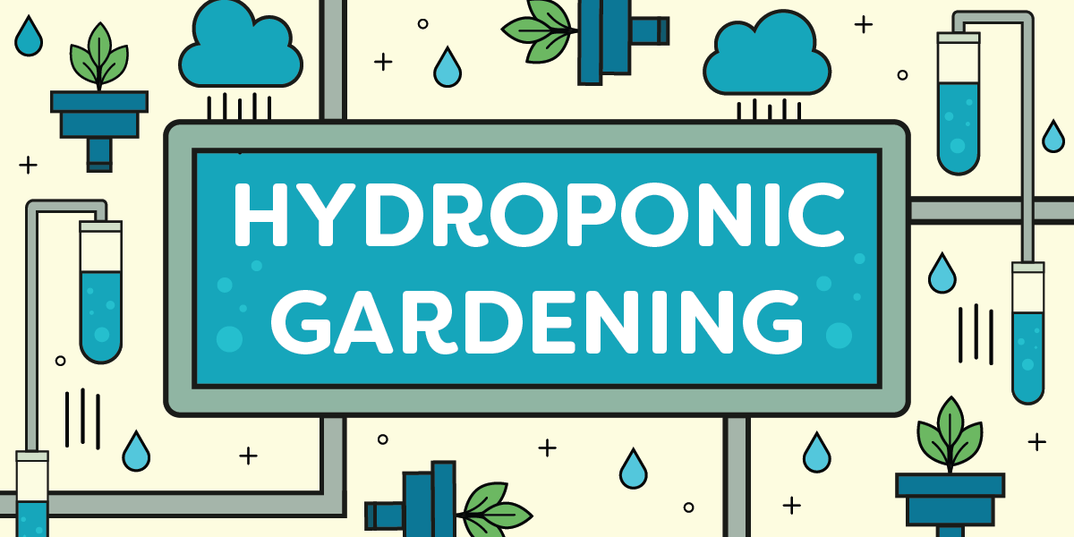 Guide to Hydroponic Gardening