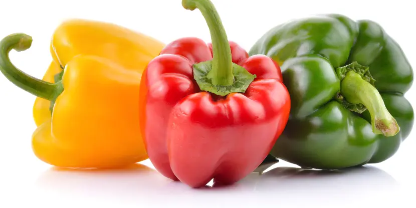 Red, yellow, and green bell peppers