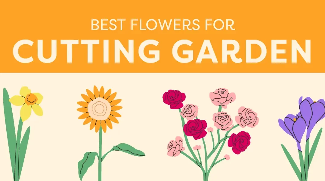 The 25 Best Blooms for a Cut Flower Garden in Southern California