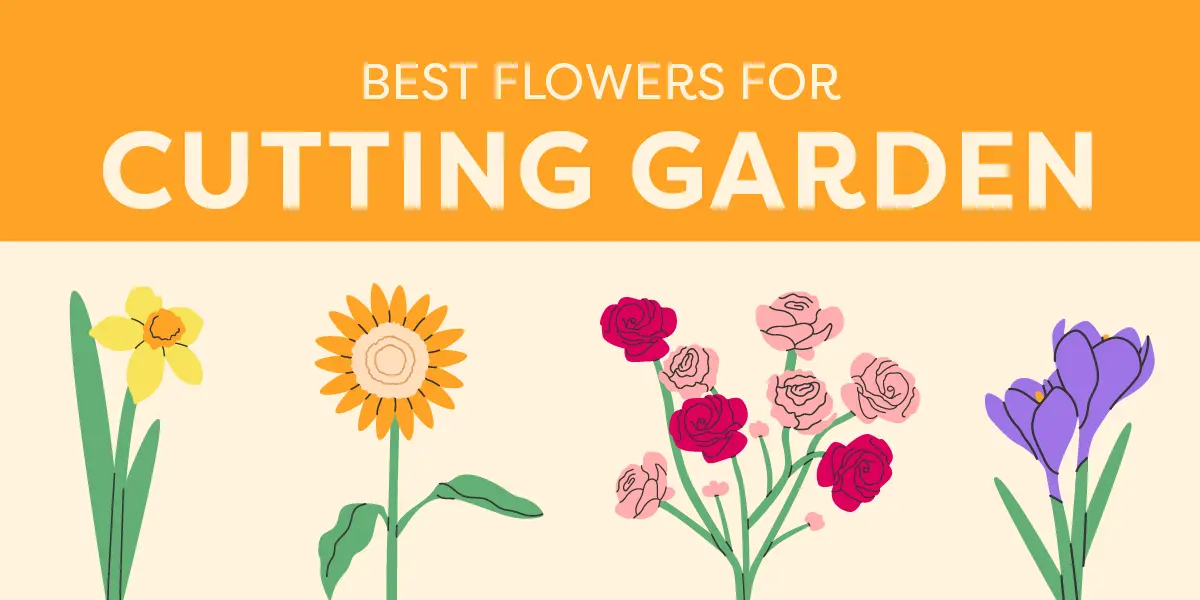 Best Flowers for a Cutting Garden