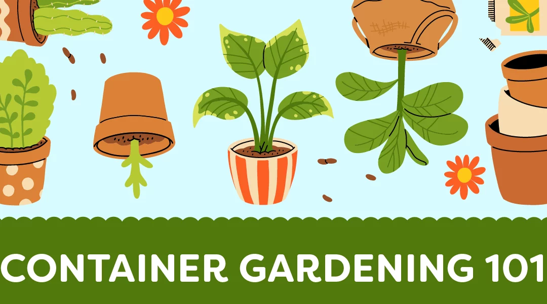 Container Gardening Ideas: Best Flowering Plants for Pots & Planters