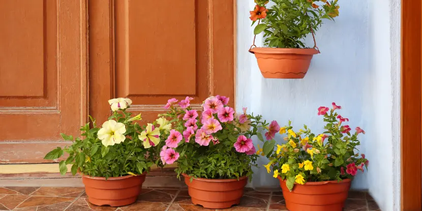 A front porch with potted flowers