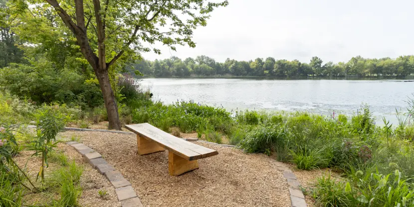 A wood mulch path beside a river