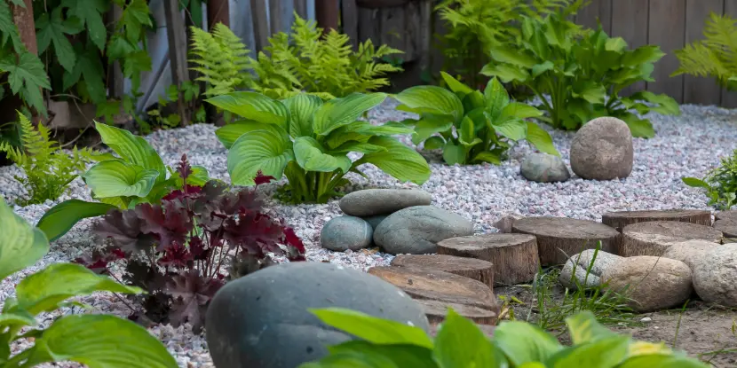 A rock garden in the corner of the yard