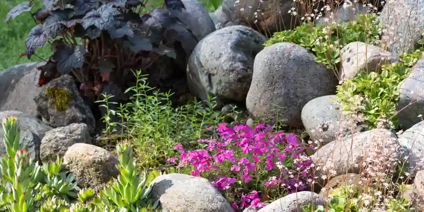 A natural-looking alpine rock garden