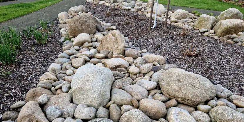 Rock garden with bark mulch