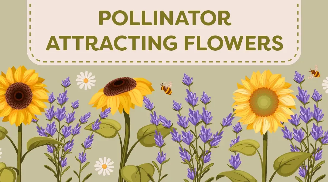 The 18 Best Pollinator-Attracting Flowers for Southern California Gardens